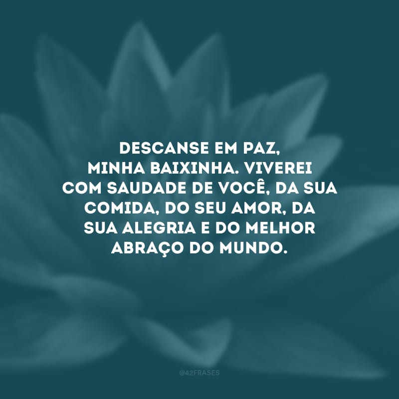 Descanse em paz, minha baixinha. Viverei com saudade de você, da sua comida, do seu amor, da sua alegria e do melhor abraço do mundo.