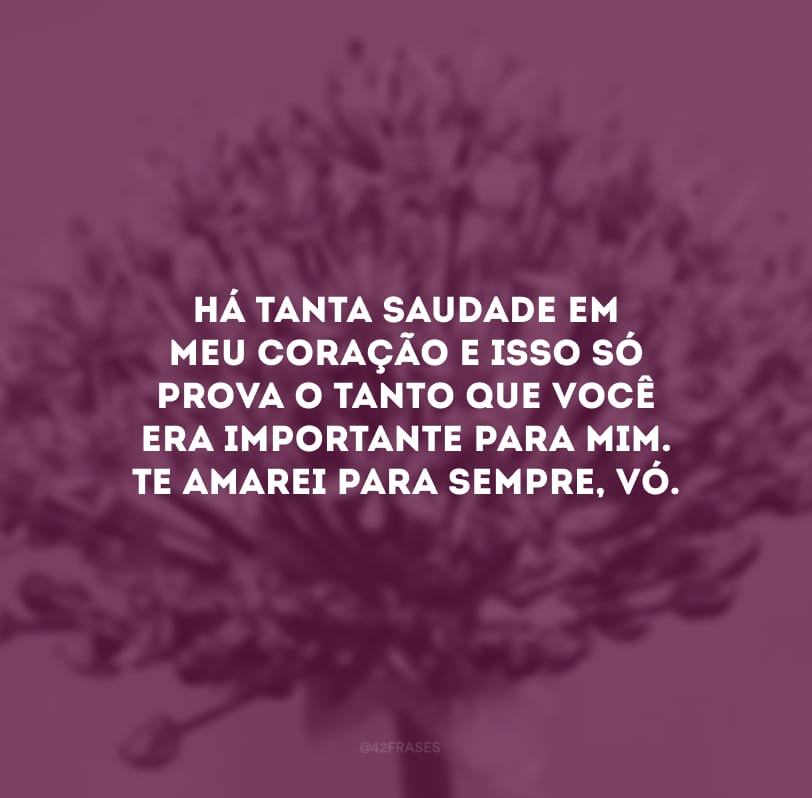 Há tanta saudade em meu coração e isso só prova o tanto que você era importante para mim. Te amarei para sempre, vó.