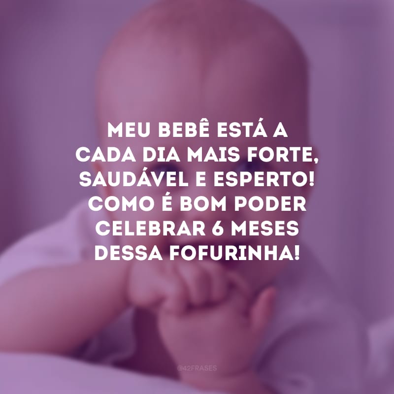 Meu bebê está a cada dia mais forte, saudável e esperto! Como é bom poder celebrar 6 meses dessa fofurinha! 