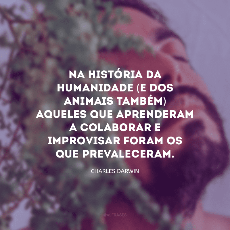 Na história da humanidade (e dos animais também) aqueles que aprenderam a colaborar e improvisar foram os que prevaleceram. 