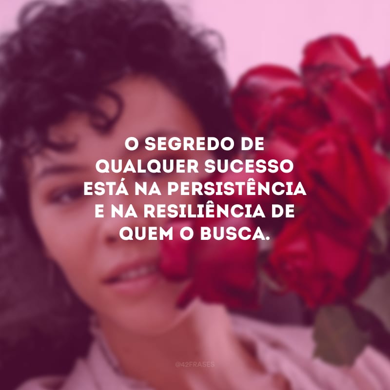 O segredo de qualquer sucesso está na persistência e na resiliência de quem o busca. 