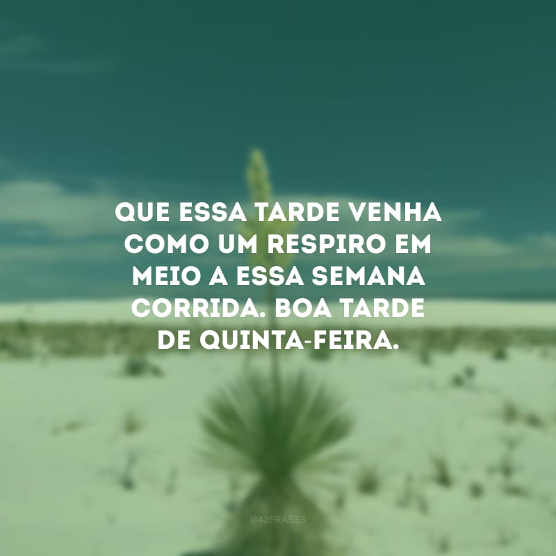 Que essa tarde venha como um respiro em meio a essa semana corrida. Boa tarde de quinta-feira.