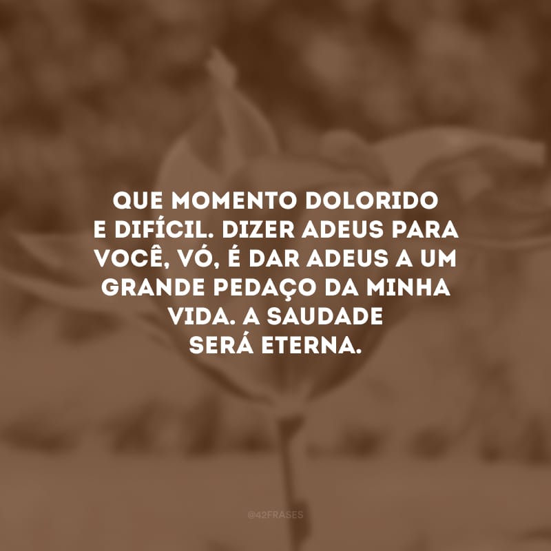 Que momento dolorido e difícil. Dizer adeus para você, vó, é dar adeus a um grande pedaço da minha vida. A saudade será eterna.