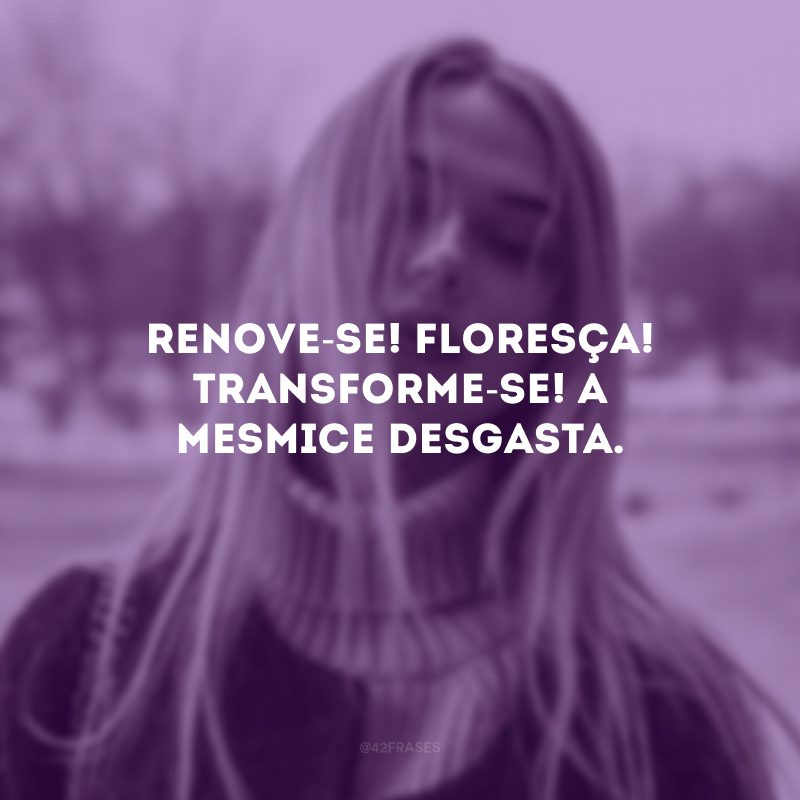 Renove-se! Floresça! Transforme-se! A mesmice desgasta. 