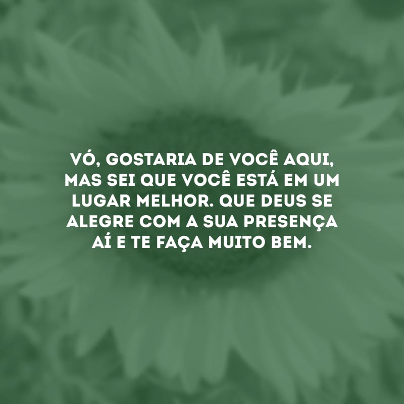 Vó, gostaria de você aqui, mas sei que você está em um lugar melhor. Que Deus se alegre com a sua presença aí e te faça muito bem.