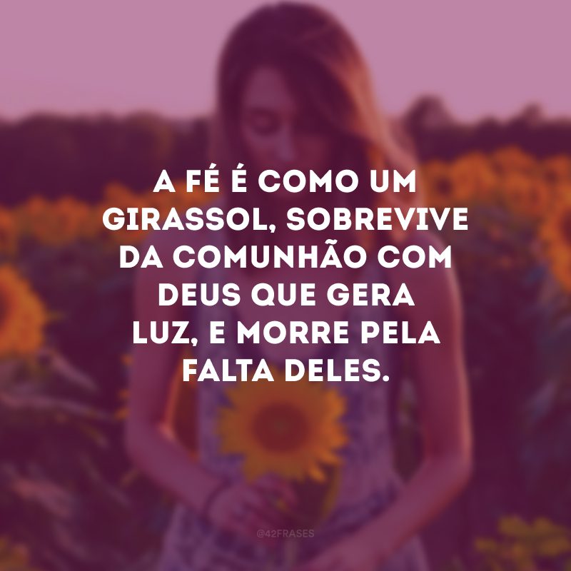 A fé é como um girassol, sobrevive da comunhão com Deus que gera luz, e morre pela falta deles.