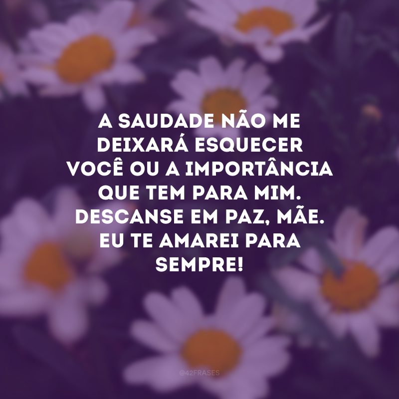 A saudade não me deixará esquecer você ou a importância que tem para mim. Descanse em paz, mãe. Eu te amarei para sempre!