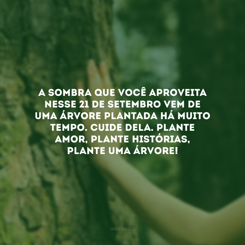 A sombra que você aproveita nesse 21 de setembro vem de uma árvore plantada há muito tempo. Cuide dela. Plante amor, plante histórias, plante uma árvore!