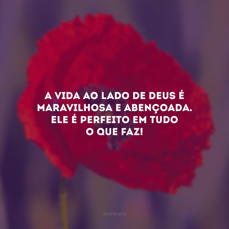 A vida ao lado de Deus é maravilhosa e abençoada. Ele é perfeito em tudo o que faz!