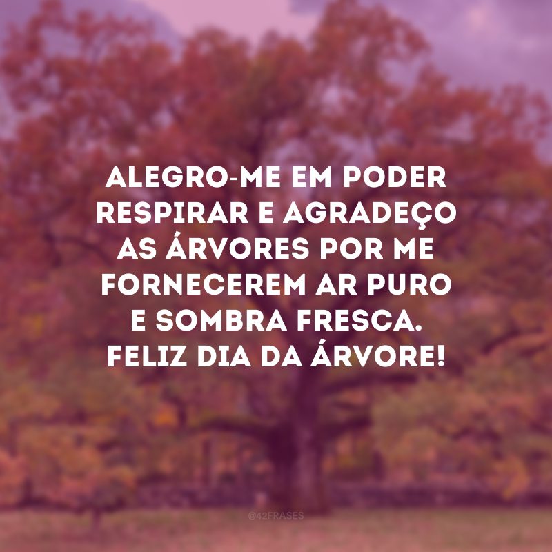 Alegro-me em poder respirar e agradeço as árvores por me fornecerem ar puro e sombra fresca. Feliz Dia da Árvore!