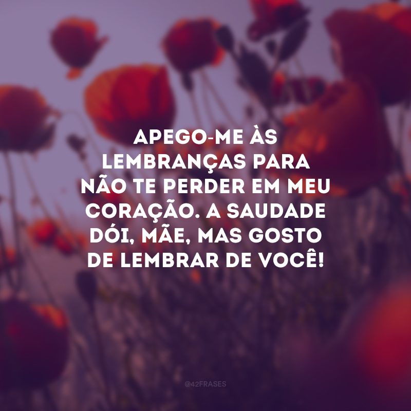 Apego-me às lembranças para não te perder em meu coração. A saudade dói, mãe, mas gosto de lembrar de você!