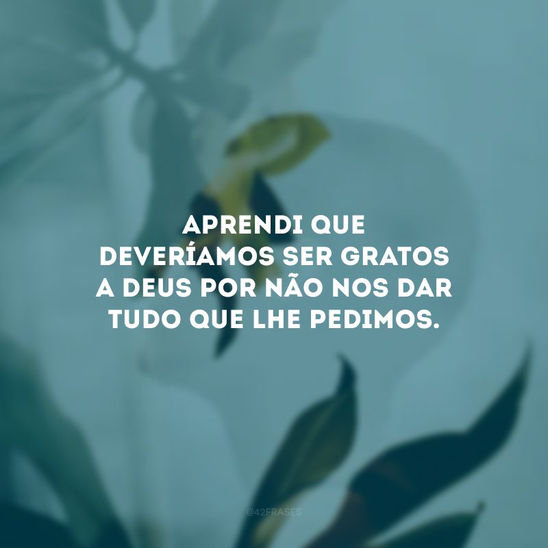 Aprendi que deveríamos ser gratos a Deus por não nos dar tudo que lhe pedimos.