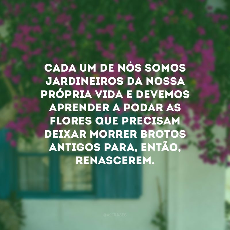 Cada um de nós somos jardineiros da nossa própria vida e devemos aprender a podar as flores que precisam deixar morrer brotos antigos para, então, renascerem.