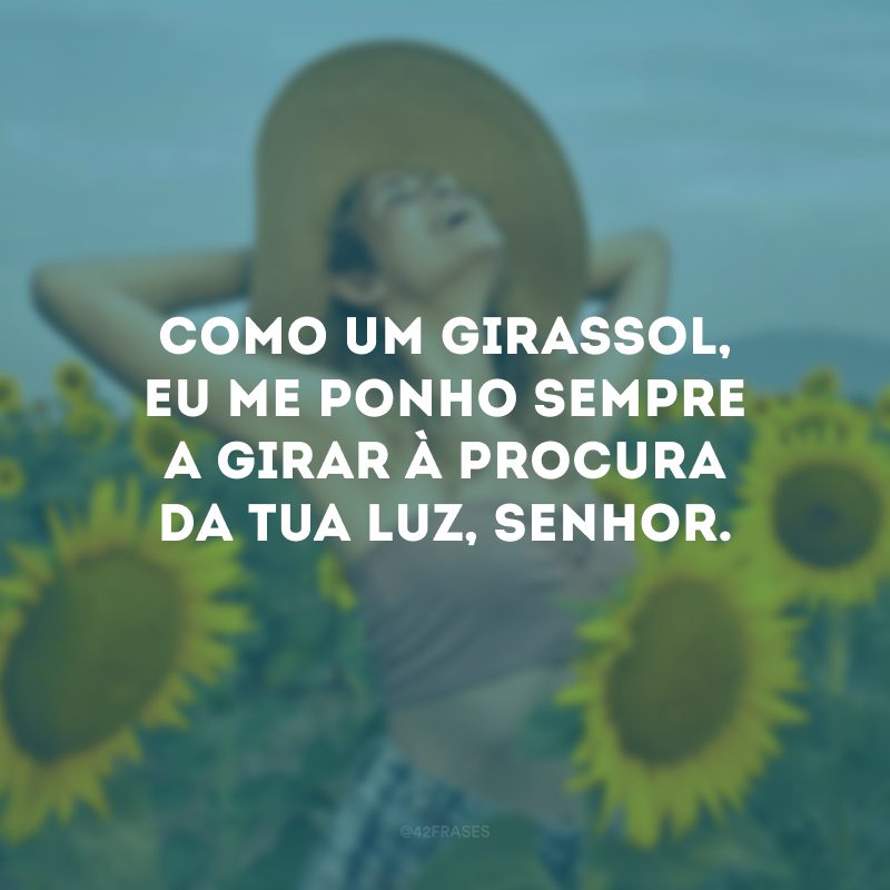 Como um girassol, eu me ponho sempre a girar à procura da tua luz, Senhor. 