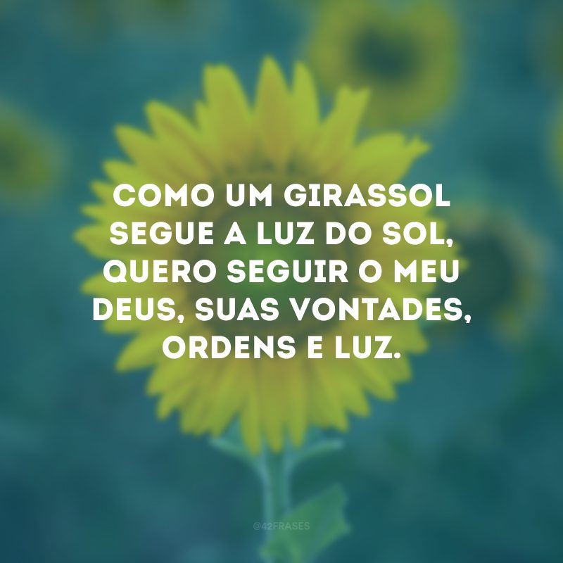 Como um girassol segue a luz do sol, quero seguir o meu Deus, Suas vontades, ordens e luz. 