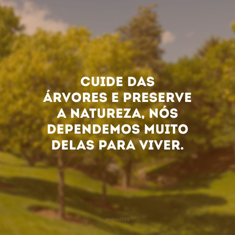 Cuide das árvores e preserve a natureza, nós dependemos muito delas para viver. 