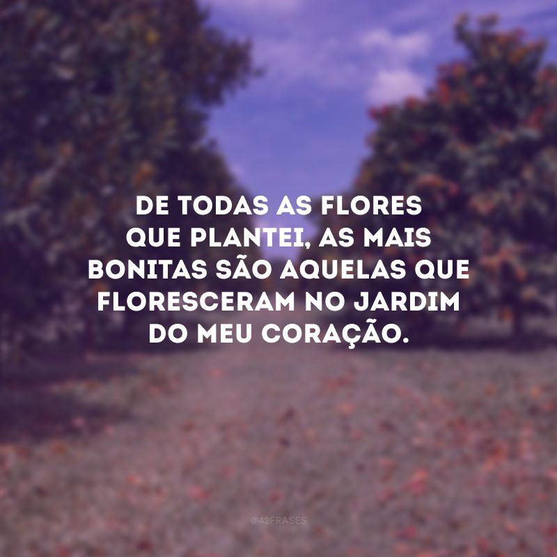 De todas as flores que plantei, as mais bonitas são aquelas que floresceram no jardim do meu coração.