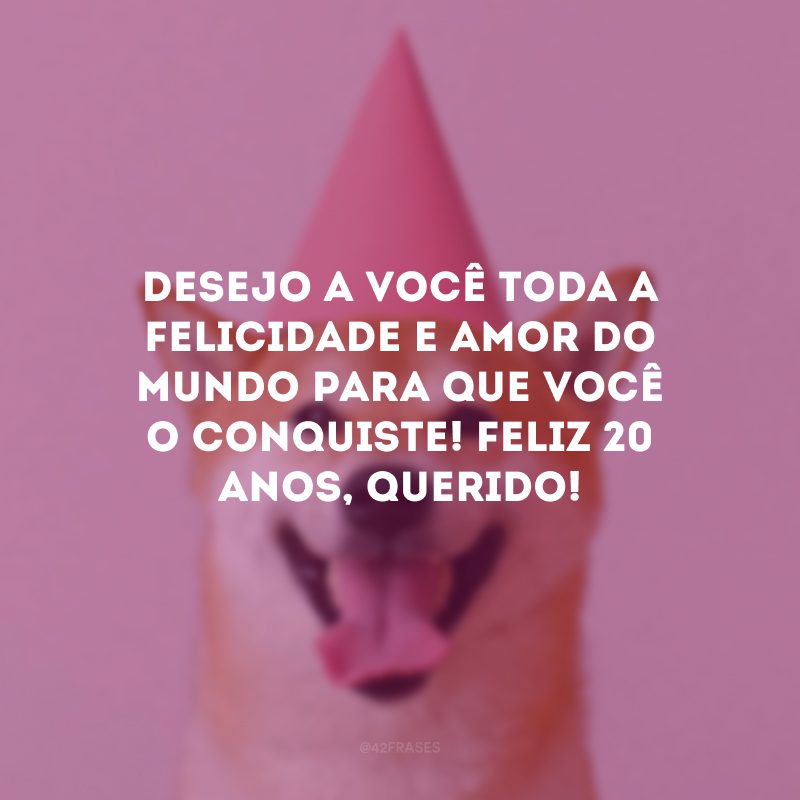 Desejo a você toda a felicidade e amor do mundo para que você o conquiste! Feliz 20 anos, querido!