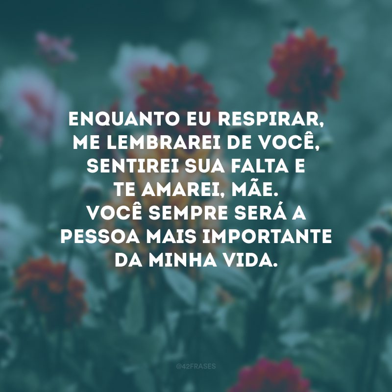 Enquanto eu respirar, me lembrarei de você, sentirei sua falta e te amarei, mãe. Você sempre será a pessoa mais importante da minha vida.