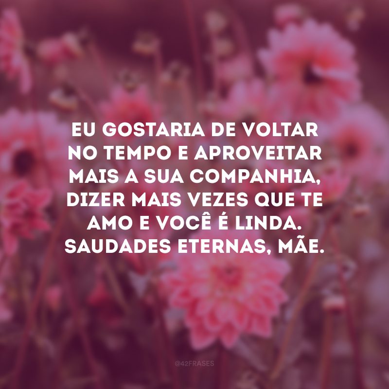 Eu gostaria de voltar no tempo e aproveitar mais a sua companhia, dizer mais vezes que te amo e você é linda. Saudades eternas, mãe.