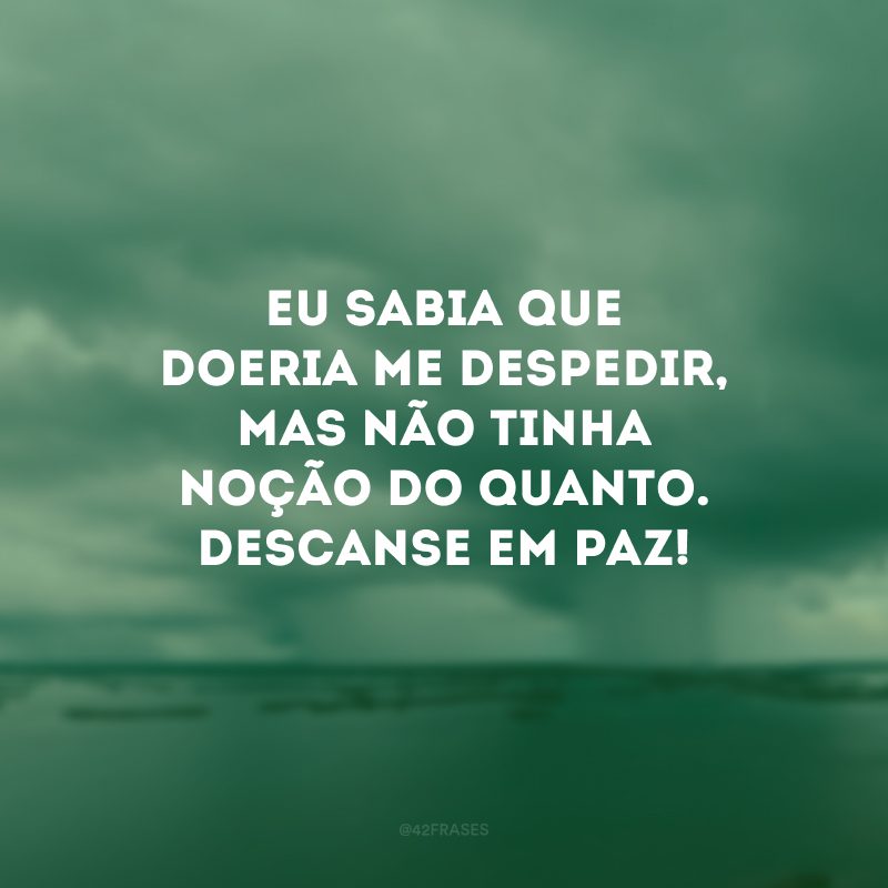 Eu sabia que doeria me despedir, mas não tinha noção do quanto. Descanse em paz!