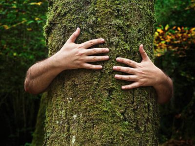 30 frases de Dia da Árvore para preservá-las e valorizá-las