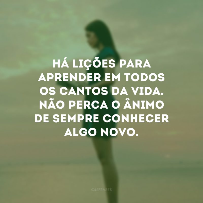 Há lições para aprender em todos os cantos da vida. Não perca o ânimo de sempre conhecer algo novo.