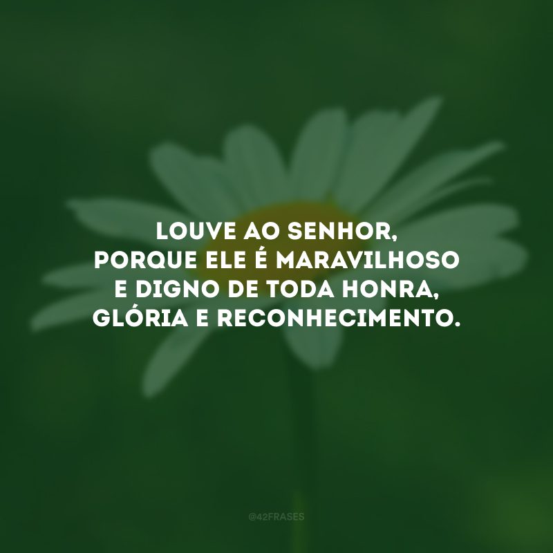 Louve ao Senhor, porque Ele é maravilhoso e digno de toda honra, glória e reconhecimento.