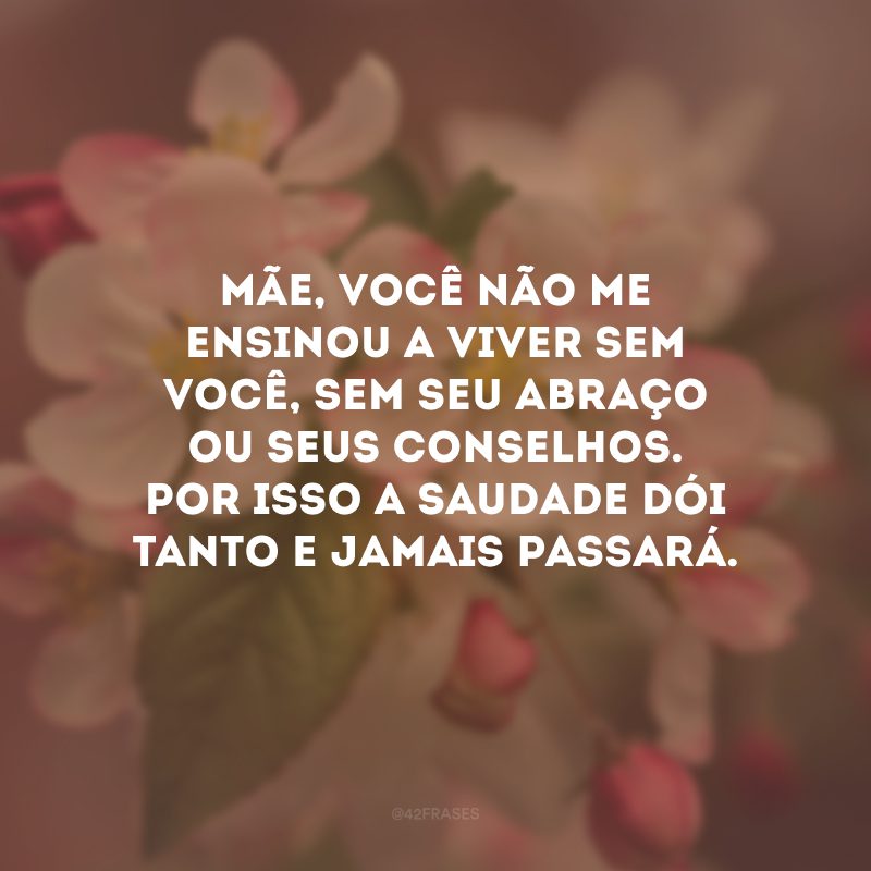 Mãe, você não me ensinou a viver sem você, sem seu abraço ou seus conselhos. Por isso a saudade dói tanto e jamais passará.