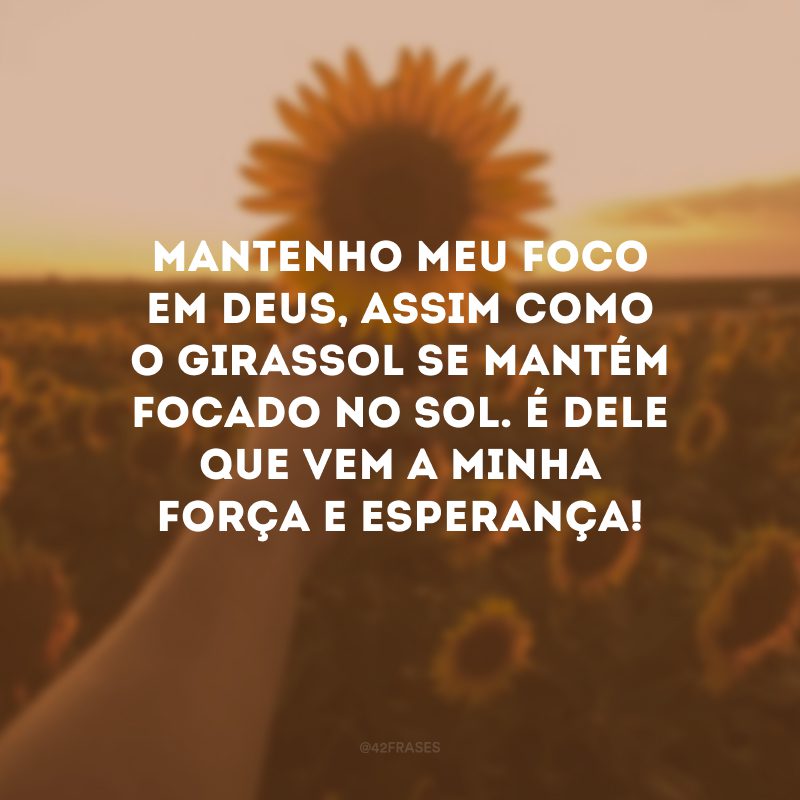 Mantenho meu foco em Deus, assim como o girassol se mantém focado no sol. É dEle que vem a minha força e esperança! 