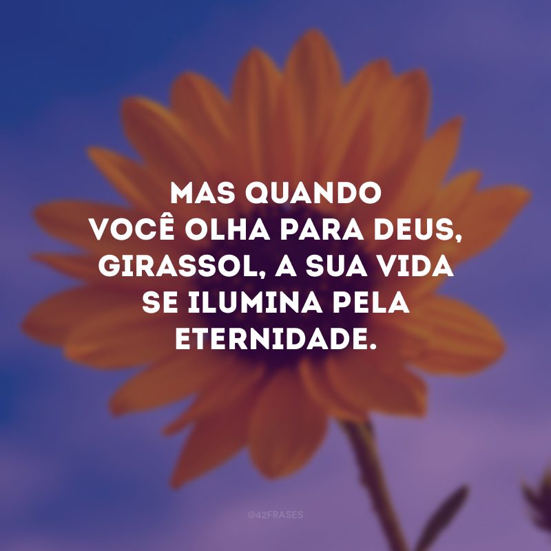 Mas quando você olha para Deus, Girassol, a sua vida se ilumina pela eternidade. 