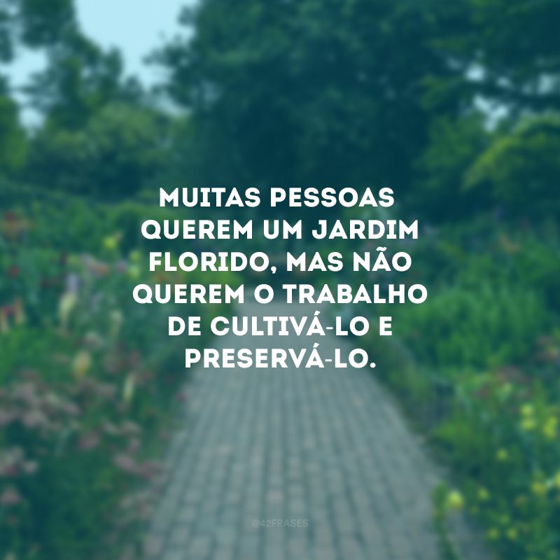 Muitas pessoas querem um jardim florido, mas não querem o trabalho de cultivá-lo e preservá-lo.