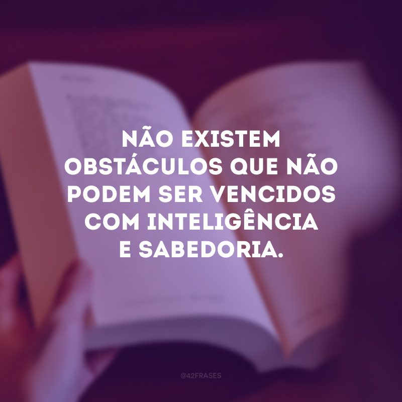 Não existem obstáculos que não podem ser vencidos com inteligência e sabedoria.