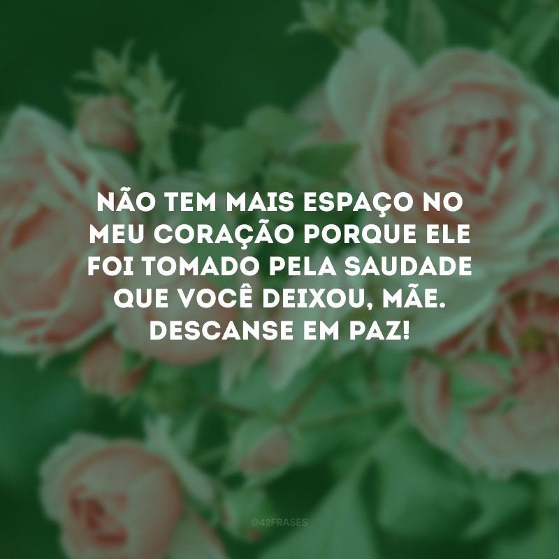 Não tem mais espaço no meu coração porque ele foi tomado pela saudade que você deixou, mãe. Descanse em paz!