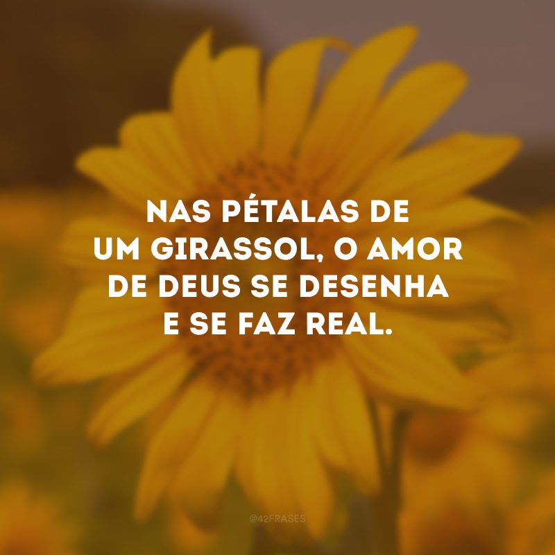 Nas pétalas de um girassol, o amor de Deus se desenha e se faz real. 