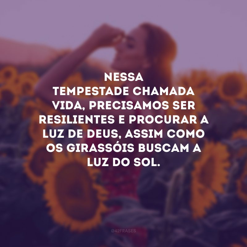 Nessa tempestade chamada vida, precisamos ser resilientes e procurar a luz de Deus, assim como os girassóis buscam a luz do sol.