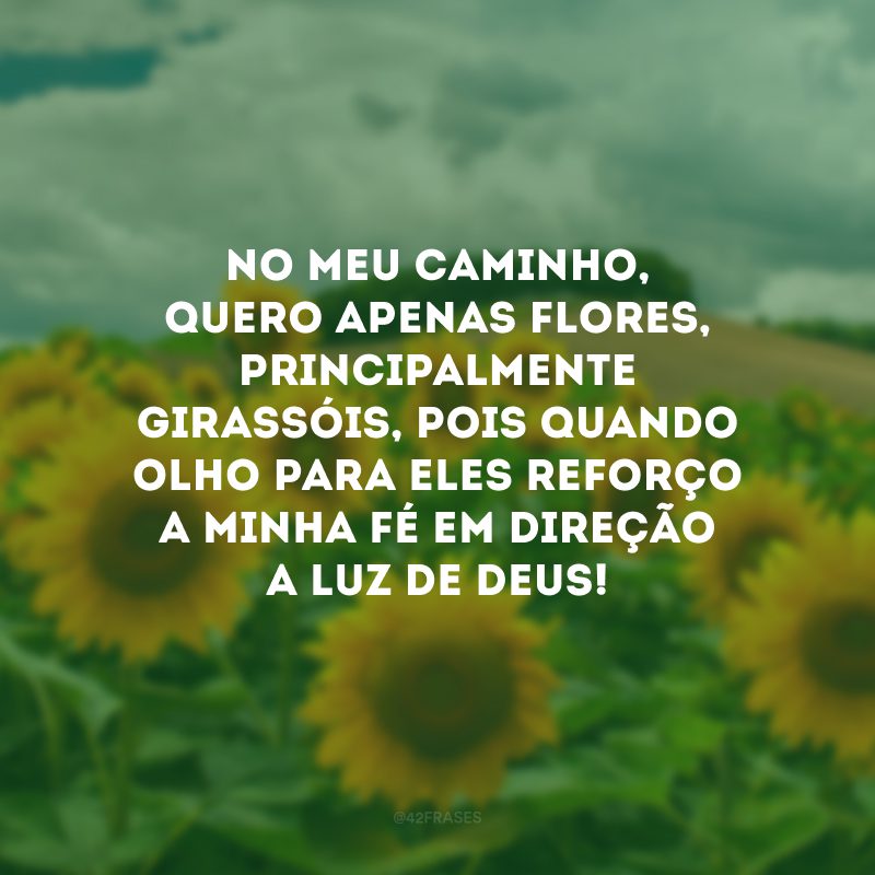 No meu caminho, quero apenas flores, principalmente girassóis, pois quando olho para eles reforço a minha fé em direção a luz de Deus!