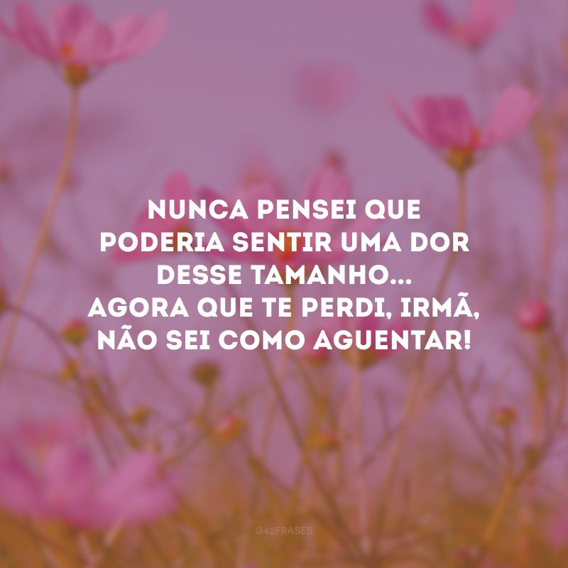 Nunca pensei que poderia sentir uma dor desse tamanho... Agora que te perdi, irmã, não sei como aguentar!