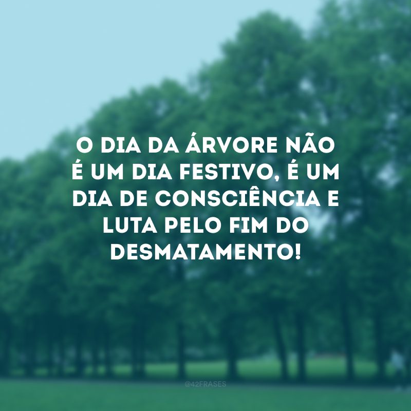 O Dia da Árvore não é um dia festivo, é um dia de consciência e luta pelo fim do desmatamento!