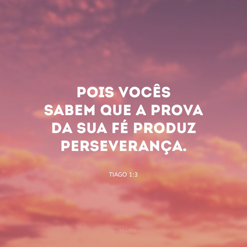 Pois vocês sabem que a prova da sua fé produz perseverança.
