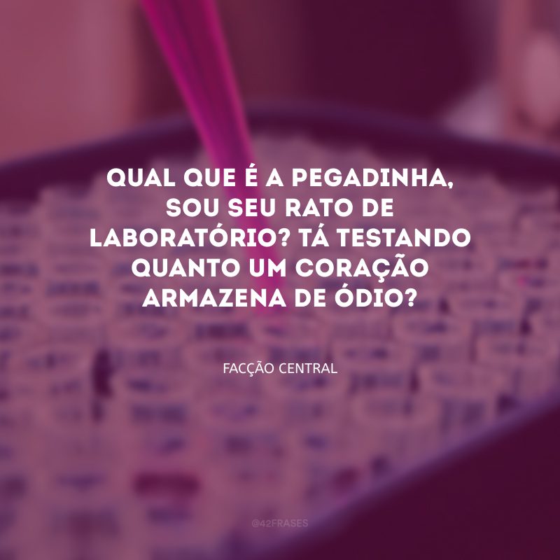 Qual que é a pegadinha, sou seu rato de laboratório? Tá testando quanto um coração armazena de ódio?