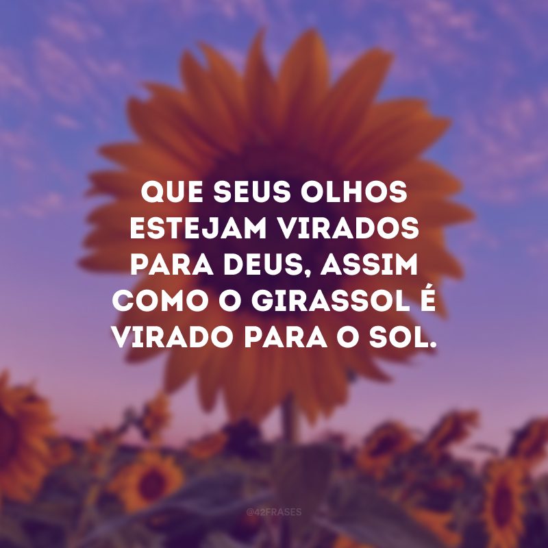 Que seus olhos estejam virados para Deus, assim como o girassol é virado para o sol.