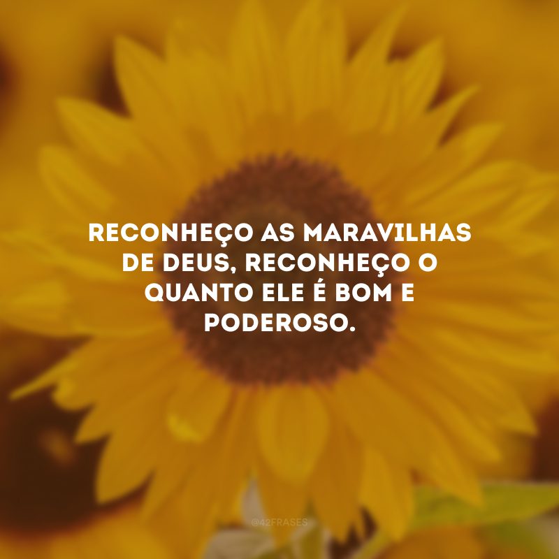 Reconheço as maravilhas de Deus, reconheço o quanto Ele é bom e poderoso. 