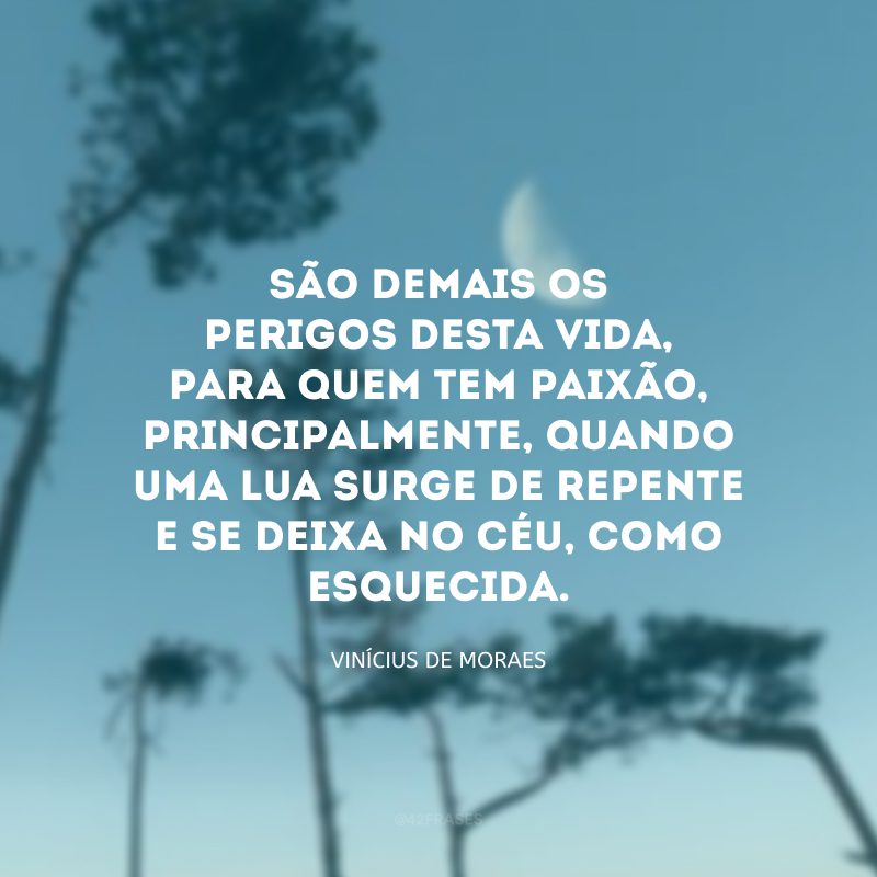 São demais os perigos desta vida, para quem tem paixão, principalmente, quando uma lua surge de repente e se deixa no céu, como esquecida.