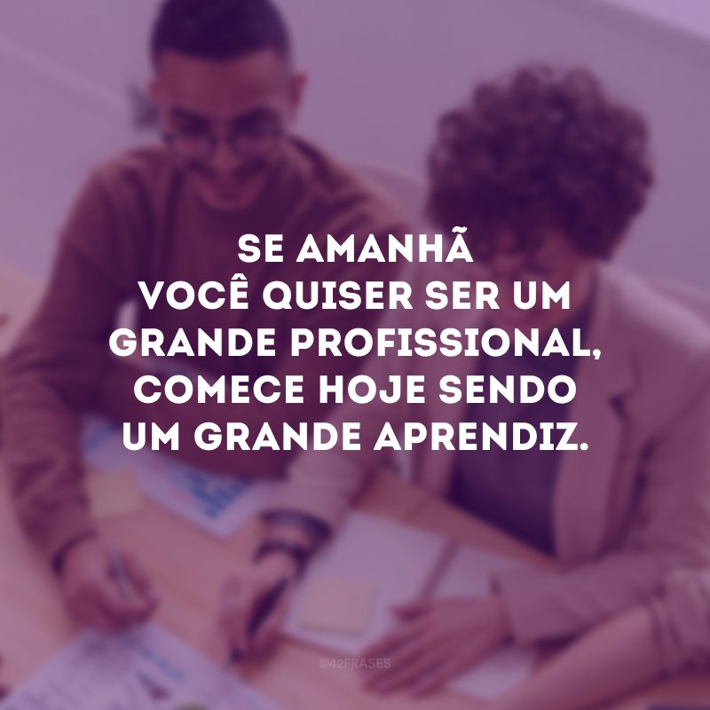 Se amanhã você quiser ser um grande profissional, comece hoje sendo um grande aprendiz. 