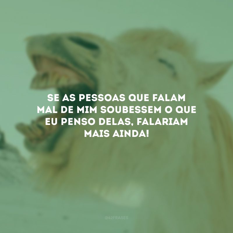 Se as pessoas que falam mal de mim soubessem o que eu penso delas, falariam mais ainda! 