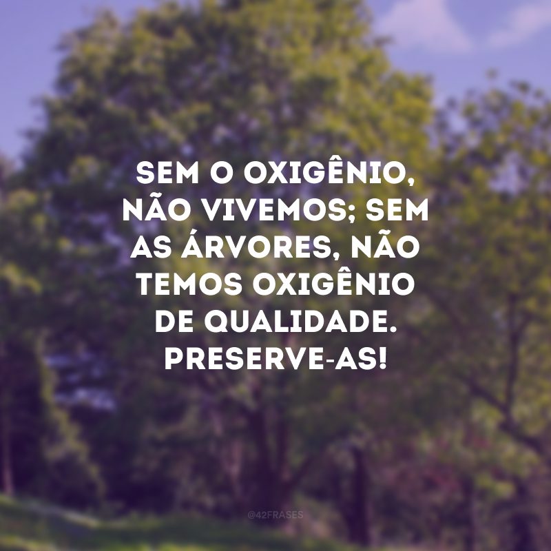 Sem o oxigênio, não vivemos; sem as árvores, não temos oxigênio de qualidade. Preserve-as!