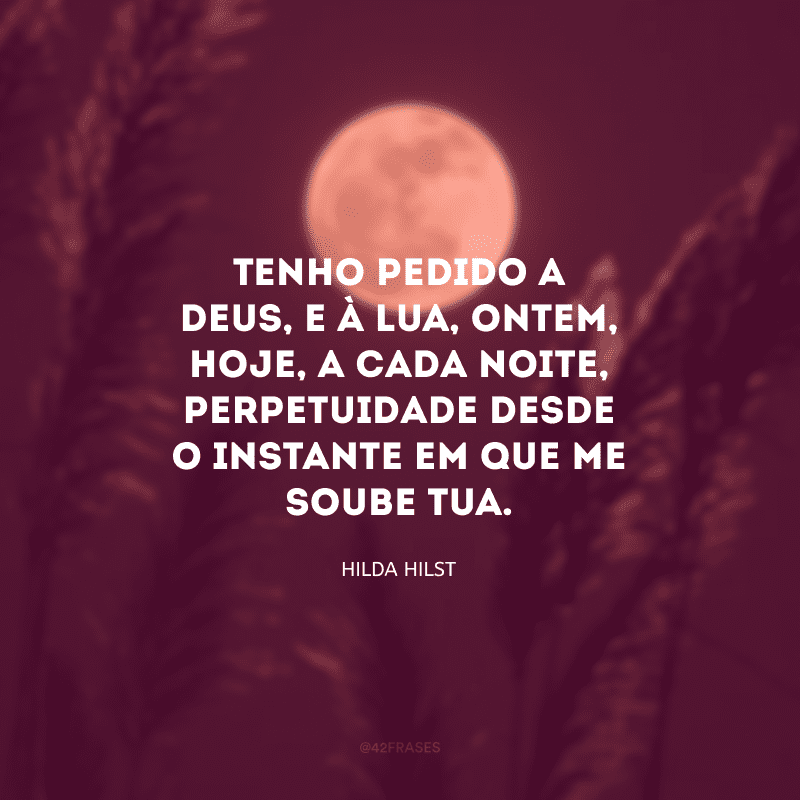 Tenho pedido a Deus, e à lua, ontem, hoje, a cada noite, PERPETUIDADE desde o instante em que me soube tua. 