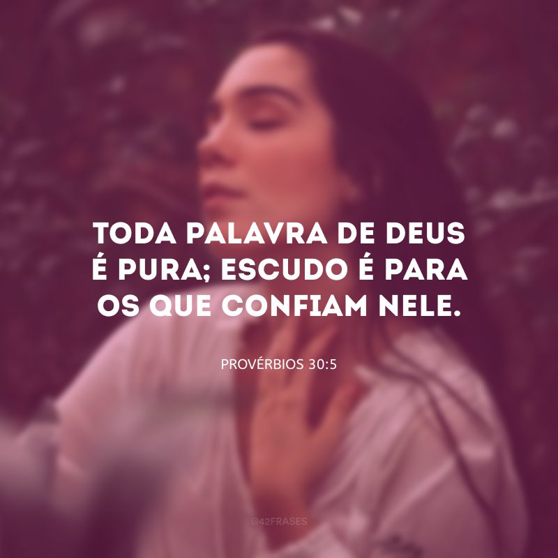 Toda palavra de Deus é pura; escudo é para os que confiam nele.