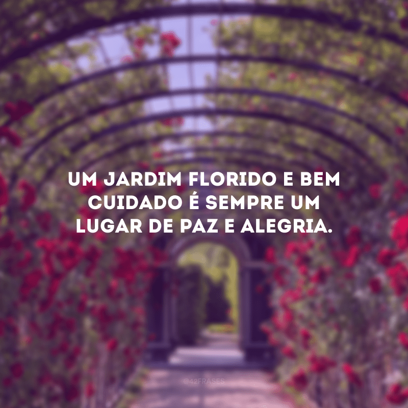 Um jardim florido e bem cuidado é sempre um lugar de paz e alegria.